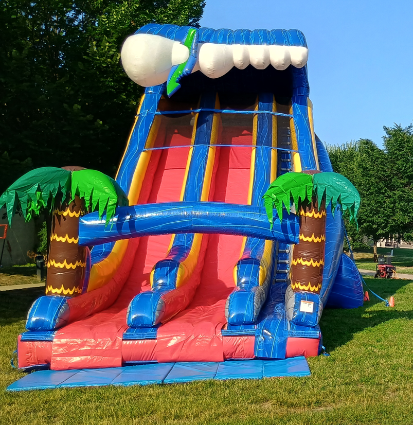 Shark sighted dry slide